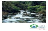 Estrategia Nacional de Recursos Hídricos 2012 2025 · 2016-11-11 · 9 Estrategia Nacional de Recursos Hídricos 2012 2025 Chile cuenta con 1.251 ríos, los que se emplazan en las