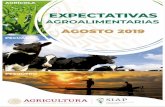 EXPECTATIVAS - gob.mx · 2019-09-12 · Expectativas de producción agropecuaria y pesquera ... Potencial del mercado de más de 1,462 millones de consumidores en 46 países; teniendo