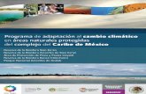 Programa de adaptación al cambio climático en áreas naturalescentro.paot.org.mx/documentos/conanp/re_caribe_de_mexico.pdf · impactos y las respuestas al cambio climático. Resulta