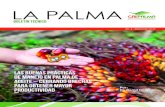 LA PALMALA PALMA / NO.401 Las Buenas Prácticas de Manejo en Palma de Aceite – cerrando brechas para obtener mayor productividad Originaria de África Occidental, la palma de aceite