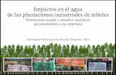 Copia de seguridad de Copia de seguridad de …...agua que provocan las plantaciones industriales de árboles en sus comunidades. El Movimiento Mundial por los Bosques Tropicales (WRM)