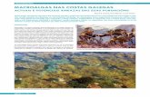ACTUAIS E POTENCIAIS AMEAZAS DAS SÚAS POBOACIÓNSadega.gal/web/media/documentos/1macroalgas_(def).pdfsobre os ecosistemas mariños e a súa biodiversidade e, por tanto, sobre as comunidades