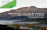 Reservas de la Biosfera de Castilla y león · 2018-11-14 · El "Faedo" de Ciñera. Premio al bosque mejor cuidado de España 2007. El Faedo de Ciñera. Recognised as the best-kept