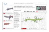 FITXA DE PROJECTE i OBRA · FITXA DE PROJECTE i OBRA Títol del Projecte i Obra: Projecte executiu d'arranjament de la Carretera de Valls (C-37) entre els carrers Maure Mercader i
