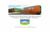 Proyecto Educativo Institucional Colegio Pedro Pablo Muñoz...Colegio Pedro Pablo Muñoz “EDUCAR ES SABIDURÍA” ... Pablo Muñoz, luego que el Ministerio de Educación, durante