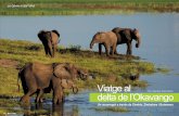 EL REPORTATGE Viatge alromanhereter.com/wp-content/uploads/2014/09/Delta-de-Lokavango-Botswana.pdfactivitat animal, en un viatge completat amb el Parc Nacional de Chobe, i les sempre