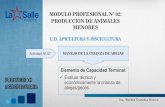 MODULO PROFESIONAL N 02: PRODUCCIÓN DE ...pa.lasalleurubamba.com/wp-content/uploads/2018/10/...MODULO PROFESIONAL N 02: PRODUCCIÓN DE ANIMALES MENORES Actividad N 07 MANEJO DE LA