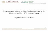 Reporte sobre la Solvencia y Condición Financiera …...Reporte sobre la Solvencia y la Condición Financiera Ejercicio 2019 3 Descripción General del Negocio y Resultados Del Negocio
