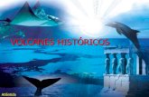 VOLCANES HISTÓRICOS - jcyl.esiespoetaclaudio.centros.educa.jcyl.es/sitio/upload/volcanes_historico… · VOLCANES DE NUEVA FORMACIÓN Surtsey, una isla nueva (1963) Isla de Surtsey