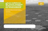 ¿LOS CULTIVOS DE COCA CAUSAN DEFORESTACION EN … · 2020-05-21 · ¿Los cultivos de coca causan deforestación en Colombia? 2 CENTRO DE ESTUDIOS SOBRE SEGURIDAD Y DROGAS (CESED)