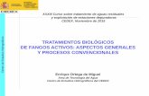 TRATAMIENTOS BIOLÓGICOS DE FANGOS …...2015/11/17  · os TRATAMIENTOS BIOLÓGICOS DE FANGOS ACTIVOS: ASPECTOS GENERALES Y PROCESOS CONVENCIONALES Enrique Ortega de Miguel Área
