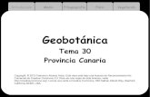 Tema 30 Provincia Canaria3 Introducción Medio Fitogeografía Flora Vegetación Alineación de islas de origen volcánico en el sector nororiental del Atlántico Central. Las más