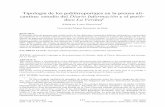 Tipología de los publirreportajes en la prensa alicantina: estudio … · Pensar la Publicidad 121 ISSN: 1887-8598 2011, vol. 5, nº 1, 121-140 Tipología de los publirreportajes