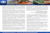 Newsletter n°nn°°n°4444:::: EEEEditorial deddeede Silva ...€¦ · Jefe del Área de Defensa contra Incendios Forestales del Ministerio de Medio Ambiente, Medio Rural y Marino
