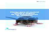 Claves para el control eficaz y seguro de las infestaciones de … · 2020-04-09 · Claves para el control eficaz y seguro de las infestaciones de roedores Departamento técnico