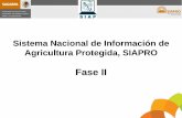 Fase II - Servicio de Información Agroalimentaria y Pesqueraencuestascontinuas.siap.gob.mx/.../Siapro_faseII.pdf · 2011-09-01 · Fase II. OBJETIVO Actualizar el ... Unidad de Producción