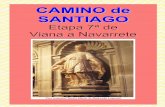 CAMINO de SANTIAGO · 2014-08-14 · Santiago el Real, con una imagen del siglo XVII que representa la aparición del Apóstol en la batalla de Clavijo. Santa María del Palacio,