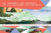 EL BOSQUE DE RIBERA EN LA REGION DE MURCIA · 2020-03-14 · El bosque de ribera en la Región de Murcia. Guía didáctica para tercer ciclo de educación primaria y primer ciclo