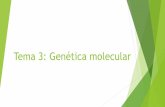 Tema 3: Genética molecular - WordPress.com · Traducción Proceso de síntesis de proteínas a partir de la información contenida en el ARNm. Tiene lugar en el ribosoma con la participación