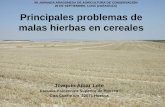 XII JORNADA ARAGONESA DE AGRICULTURA DE … · 2016-05-23 · El uso de herbicidas hormonales (2,4-D, MCPA...) ha cambiado la frecuencia de dicotiledóneas sensibles, dicotiledóneas