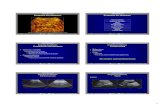 Ecografía del abdomen · Signos de Hipertensión portal Ascitis Aplicación Multimedia para la Enseñanza de Radiología a Alumnos de Medicina 9/35 Ecografía del abdomen Hígado