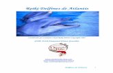CURSO Delfines de Atlantis - educalibre.infoeducalibre.info/wp-content/uploads/2018/03/129497793-Delfines-de... · Delfines de Atlantis 2 Introducción Poco se conoce actualmente