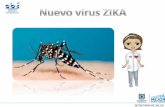¿Qué esupssmeissen.subredsur.gov.co/intranet/images/Archivos/ZIKA.pdfel cual se aisló por primera vez en los Bosques de Zika en Uganda, en el año 1947, en un mono Rhesus, durante