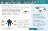 Zika: Información sobre el virus · Respuesta de los CDC al zika Por qué se considera el zika un riesgo para algunas personas La infección por el zika durante el embarazo puede