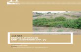 Dunas litorales con Juniperus spp. (*) · la Península Ibérica, este tipo de hábitat está aso-ciado con los matorrales dunares de Corema album (Rubio-Coremion albi) y el matorral