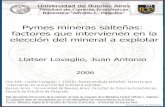 Universidad de Buenos Aires [ce - Biblioteca Digital FCEbibliotecadigital.econ.uba.ar/download/tpos/1502-0848... · mineral) y piedras semipreciosas. Y para tener un panorama más