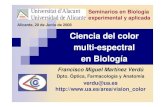 Alicante, 20 de Junio de 2008 Ciencia del color multi ...Tipos de fuentes luminosas: Iluminantes luz-diurna Longitud de onda λλλλ (nm) 400 500 600 700 Potencia relativa S 0.0 0.5