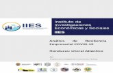Análisis de Resiliencia Empresarial COVID-19 Honduras ... · semana del 7 al 17 de mayo de 2020, que tiene como base información de la micro, ... Como último apartado del documento