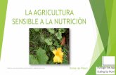 AGRICULTURA SENSIBLE A LA NUTRICIÓNpubdocs.worldbank.org/en/477401537215085222/nicaragua...Principios de la Agricultura Sensible a la Nutrición 1. Invertir en las mujeres: asegurar