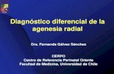 Diagnóstico diferencial de la agenesia radial · •Síndrome de Holt-Oram •Anemia de Fanconi •VACTERL •Disostosis acrofacial Mairead k, Moran P, Prenat diagn 2007, 27:730-737