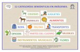 12 CATEGORÍAS SEMÁNTICAS EN IMÁGENES. COLEGIO …diversidad.elfabraquer.es/wp-content/uploads/2020/05/12Categorias... · Autor Pictogramas: Sergio Palao ‐Procedencia:ARASAAC
