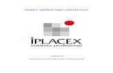 RAMO: MARKETING Icursos.iplacex.cl/modulos_actualizacion/Marketing... · Instituto Profesional Iplacex 4 Función de Logística: en este tipo de función, los intermediarios deben