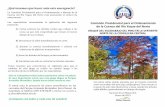 Comisión Presidencial para el Ordenamiento de la Cuenca ...€¦ · ATAQUE DEL ESCARABAJO DEL PINO EN LA VERTIENTE NORTE DE LA CORDILLERA CENTRAL Los pinos están siendo atacados
