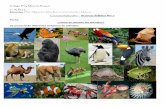 Fecha: ¿Cómo se mueven los animales? Se presentarán diferentes imágenes de animales EP 2020/2do... · 2020-04-01 · Se les solicita que cada uno busque y recorte diferentes animales.
