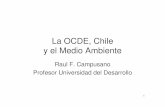 La OCDE, Chile y el Medio Ambiente · Tareas de Membrecía • Chile debe participar en las reuniones de los grupos de trabajo, sub grupos de trabajo y comités. (intervalos de seis