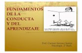 FUNDAMENTOS DE LA CONDUCTA Y DEL APRENDIZAJEbalderciencias.weebly.com/uploads/2/2/1/5/22155040/tema_7.pdf · CONDICIONAMIENTO INSTRUMENTAL U OPERANTE: SKINNER EN RELACIÓN AL CASTIGO