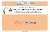 DECLARACIÓN MEDIOAMBIENTAL 2018 · Declaración Medioambiental 2018 CITELUM IBÉRICA, S.A Página 3 RESTRICTED 1. Objeto de la Declaración Mediante el cumplimiento del reglamento