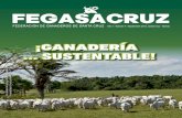 FEDERACIÓN DE GANADEROS DE SANTA CRUZfegasacruz.org/wp-content/uploads/2017/07/Revsita-Fegasacruz-Nº… · 2015 feria agropecuaria y remate de ganado en san matÍas senasag expone