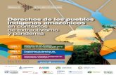 Derechos de los pueblos indígenas amazónicos en contextos de … · 2020-07-14 · Relevancia y urgencia de atención a pueblos indígenas en aislamiento voluntario. Presentación