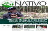 BOSQUE NATIVOpara el manejo y conservación de los bosques nativos, con una fuerte participación ciudadana; un programa de manejo sustentable de bosques nativos; y un sistema nacional
