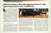 Métodos de diagnóstico de gestación en cabrasorigin.magrama.gob.es/ministerio/pags/biblioteca/... · El diagnóstico de gestación por radio-grafia se basa en la identificación