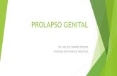 PROLAPSO GENITAL - sbu-filial-cbba.comsbu-filial-cbba.com/Archivos/EE-AA_PROLAPSO GENITAL... · INTRODUCCION Prolapso genital es el desplazamiento hacia abajo o adelante de uno o