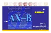 Introducción al álgebra)Un avance importante en el álgebra fue la introducción, en el siglo XVI, de símbolos para las incógnitas y para las operaciones y potencias algebraicas.