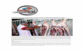 PIERDEN PORCICULTORES MEXICANOS HASTA 5 MMDP POR ... VERACRUZ.pdf · el consumo de carne de cerdo de los mexicanos se encuentra aproximadamente 10 kilogramos por debajo de la ingesta
