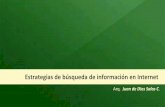 Estrategias de búsqueda de información en Internet€¦ · Estrategias de búsqueda de información en Internet Arq. Juan de Dios Salas C. INTERNET VISIBLE Se conoce como Internet