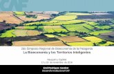 2do Simposio Regional de Bioeconomía de la Patagonia La ...€¦ · CAF y el Desarrollo Institucional. 1 3 4 2 Eficiencia Microeconómica Equidad ... Programas de Gobernabilidad